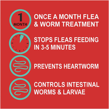 Exelpet Vet Flea Intestinal & Heartworm Medium Dog Each