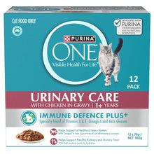 Purina One Cat Food Urinary Care Chicken In Gravy 70g x 12 pack