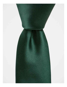 Core Poly Green Tie