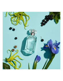 Sheer Eau de Toilette