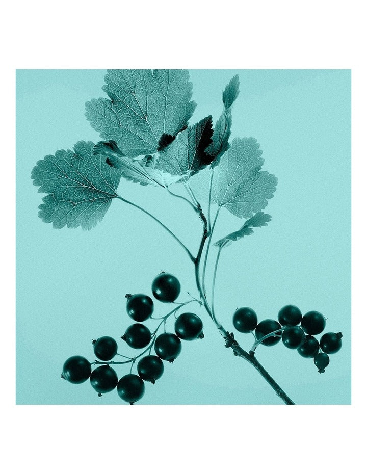 Sheer Eau de Toilette