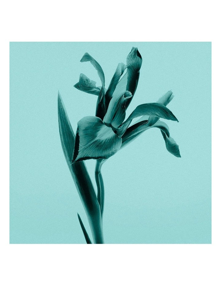 Sheer Eau de Toilette