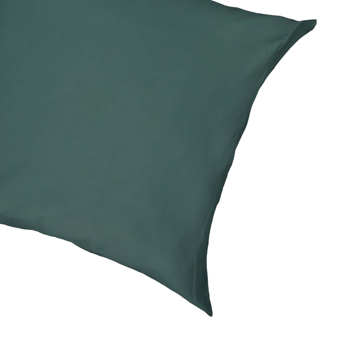 250 Thread Count Cotton Rich European Pillowcase - Teal