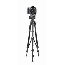 XCD 3 Way Swivel Head Tripod (Large)
