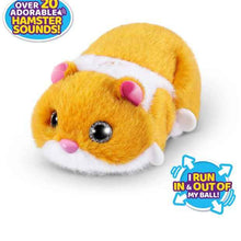 Pets Alive Hamster Mania by ZURU - Assorted*
