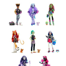 Monster High Fashion Doll - Assorted*