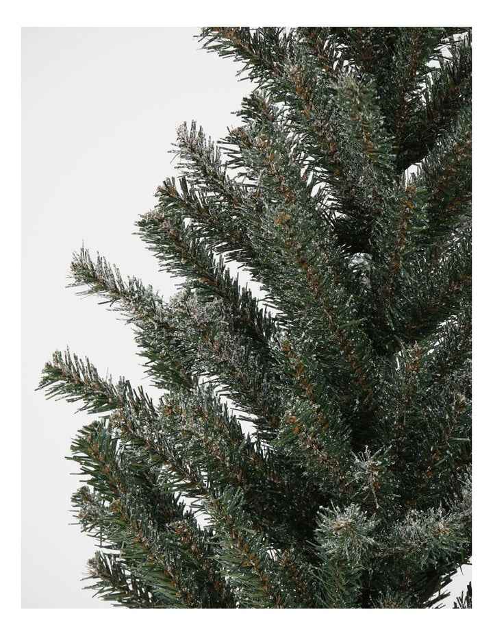 Eucalyptus Christmas Table Top Tree in Hessian Pot