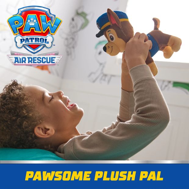 PAW Patrol Core Basic Plush Toy - Assorted*
