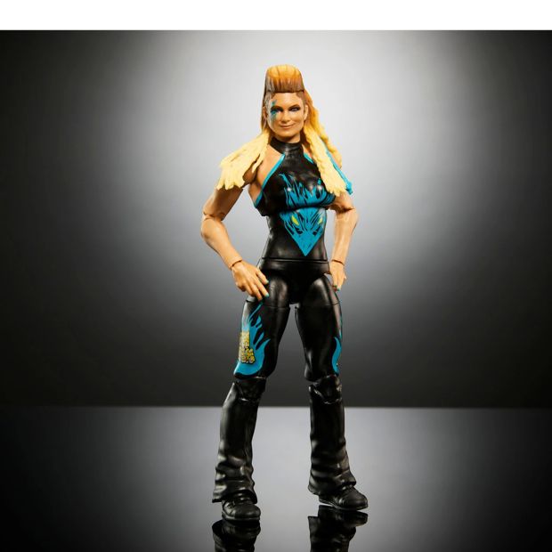 WWE Premium Live Event Elite Collection Action Figure - Assorted*