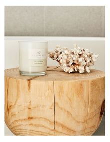 Clove & Sandalwood Standard Candle 420g