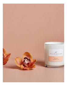 Watermelon Standard Candle 420g
