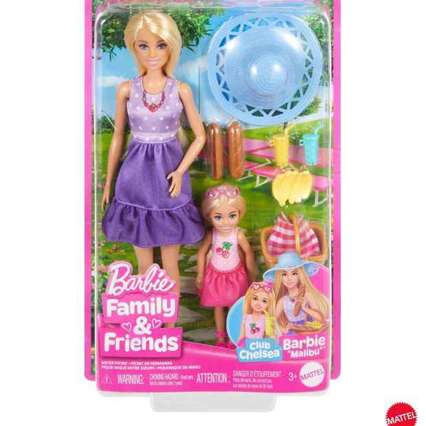 Mattel Barbie Family & Friends Picnic-Themed Playset