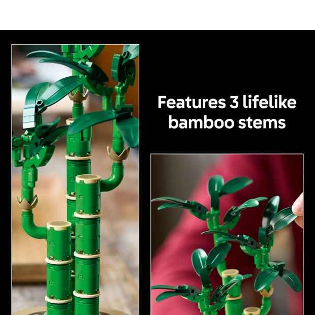 LEGO® Botanicals Lucky Bamboo 10344
