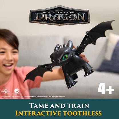How To Train Your Dragon Tame and Train Toothless