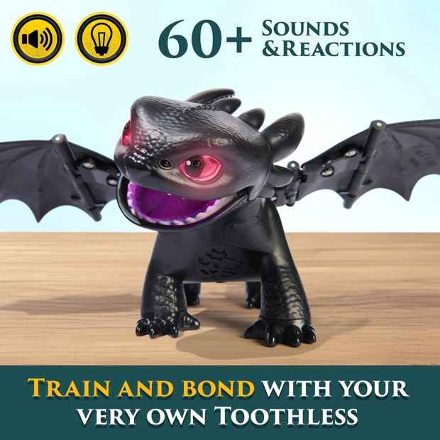 How To Train Your Dragon Tame and Train Toothless