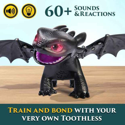 How To Train Your Dragon Tame and Train Toothless