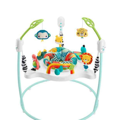 Mattel Fisher-Price Jumperoo Baby Activity Center