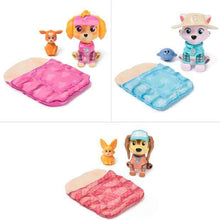 PAW Patrol Skye's World Camping Figures - Assorted