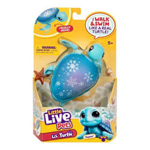 Little Live Pets Lil' Turtle Single Pack - Assorted