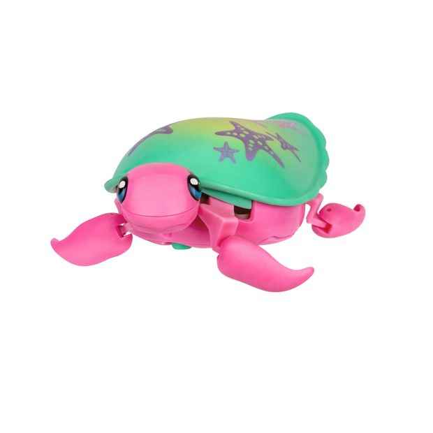 Little Live Pets Lil' Turtle Single Pack - Assorted