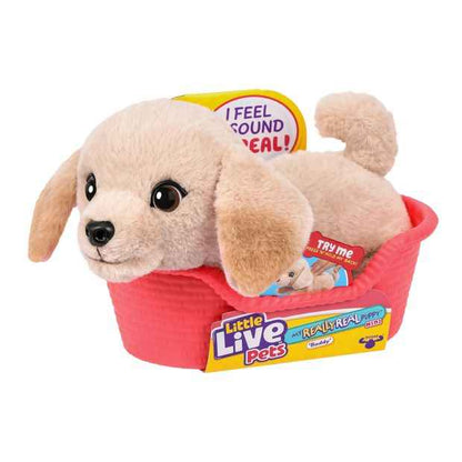 Little Live Pets My Really Real Puppy Mini - Assorted