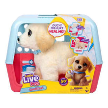 Little Live Pets Ouchies: Cooper The Retriever Puppy Toy