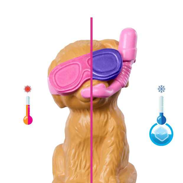 Mattel Barbie Puppy Pool Party Playset