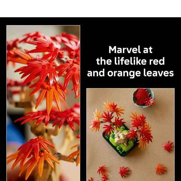 LEGO® Botanicals Japanese Red Maple Bonsai Tree 10348