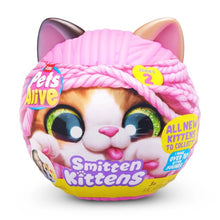 5 Piece ZURU Pets Alive Smitten Kittens Series 2 - Assorted