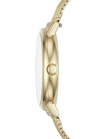 Signatur Slim Gold Tone Gold Stainless Steel Mesh Analog Watch SKW2693