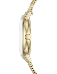 Signatur Slim Gold Tone Gold Stainless Steel Mesh Analog Watch SKW2693