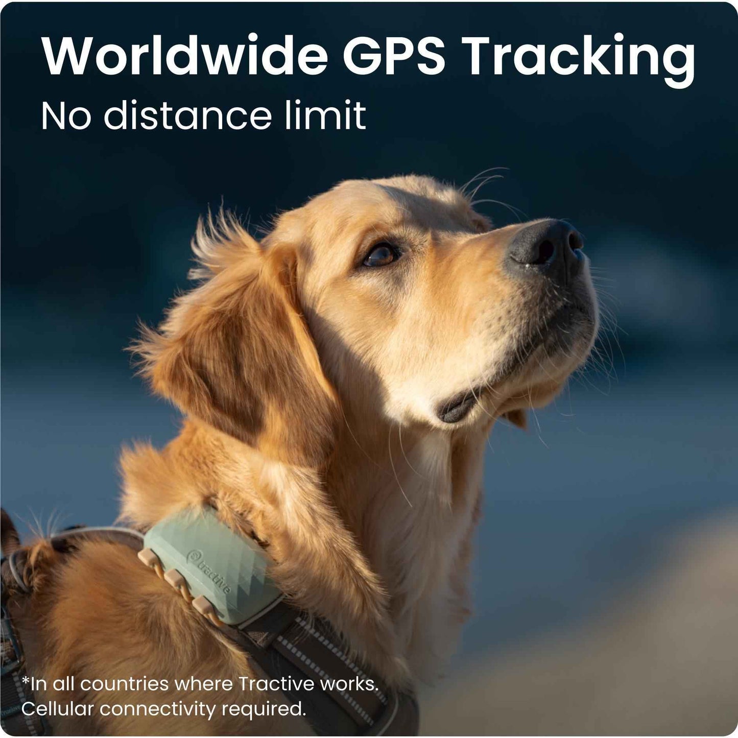 Tractive GPS DOG XL (Green)
