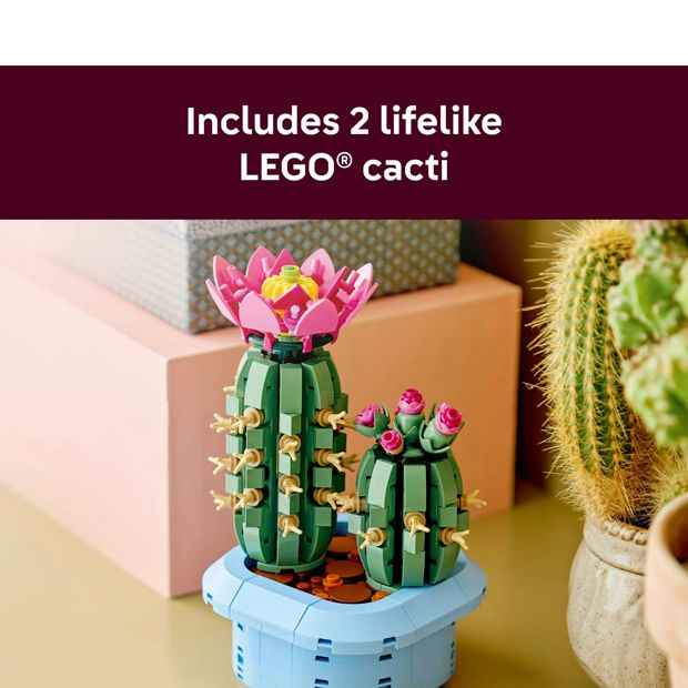 LEGO® Botanicals Flowering Cactus 11509
