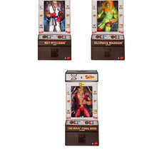 WWE x Street Fighter Action Figures - Assorted