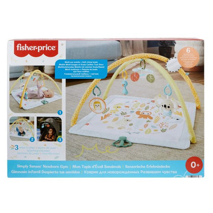 Fisher Price Simply Senses Newborn Gym