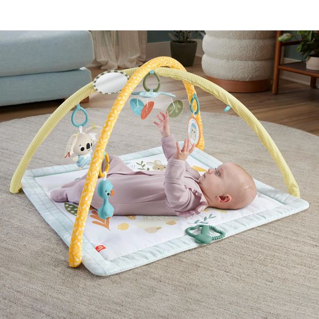 Fisher Price Simply Senses Newborn Gym