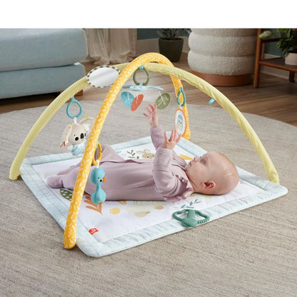 Fisher Price Simply Senses Newborn Gym