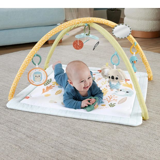 Fisher Price Simply Senses Newborn Gym