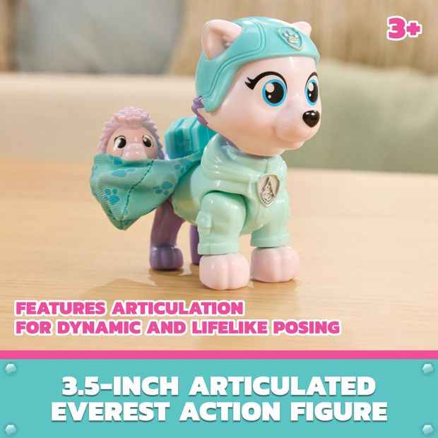PAW Patrol: Skye's World Animals Rescue - Assorted