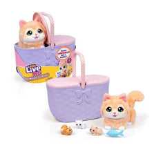 Little Live Pets Mama Surprise Kitty Playset