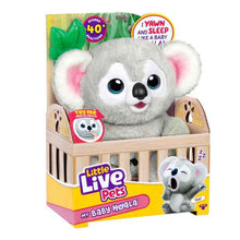 Little Live Pets My Lil’ Baby Koala