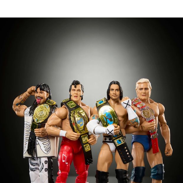 4 Pack WWE Elite Hall of Champions Action Figures