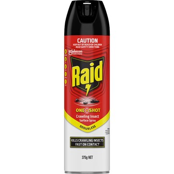 Raid One Shot Crawling Insects Spray Odourless 375g