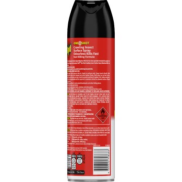 Raid One Shot Crawling Insects Spray Odourless 375g