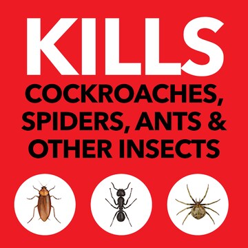 Raid One Shot Crawling Insects Spray Odourless 375g