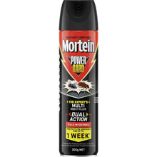 Mortein Powergard Multi-Insect Spray 300g