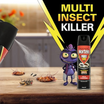 Mortein Powergard Multi-Insect Spray 300g