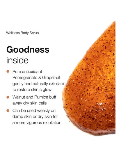 Wellness Body Scrub 450g