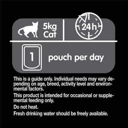 Dine Melting Soup Adult Wet Cat Food Tuna & Salmon Pouch 40g