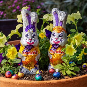 Cadbury Crunchie Chocolate Easter Bunny 170g